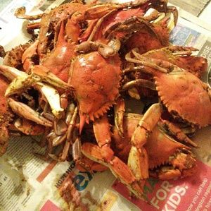 Meet your Posher, Daria